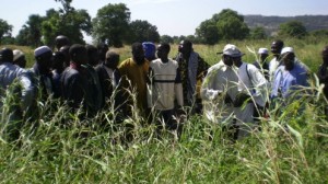 The farmers learn on-site which type of grass is most nutritious for cows.