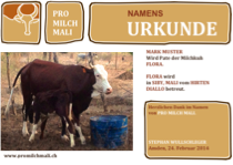 Namensurkunde einer gekauften Kuh in Mali.